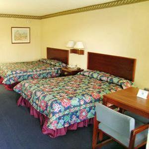 Regency Inn&Suites - Saint Augustine St. Augustine Beach Zimmer foto